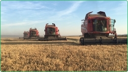 1400 ha bewasserte farm zum verkauf in Rum&auml;nien