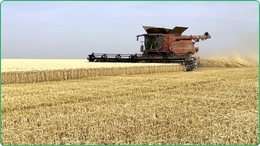 1850 ha farm zum verkauf in Rum&auml;nien